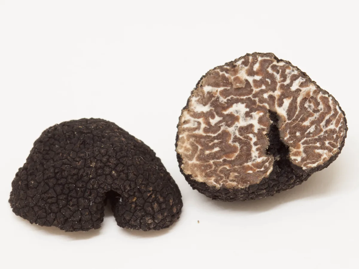 bagnolitryffel